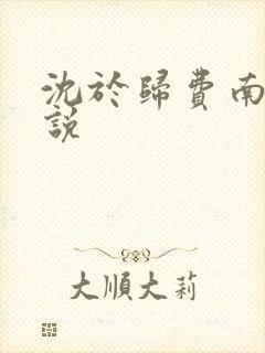 沈于归费南城小说