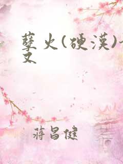 孽火(硬汉)今又