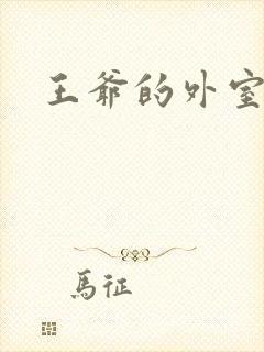 王爷的外室
