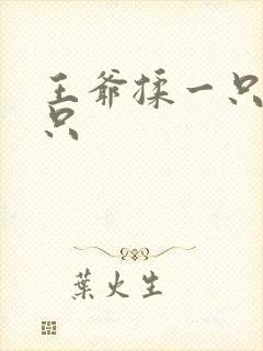 王爷揉一只舔一只