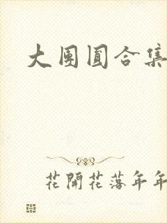 大团圆合集