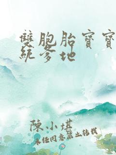 双胞胎宝宝的总统爹地