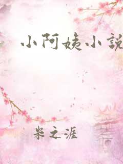 小阿姨小说
