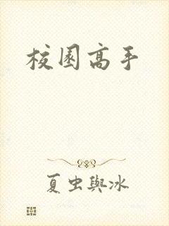 校园高手