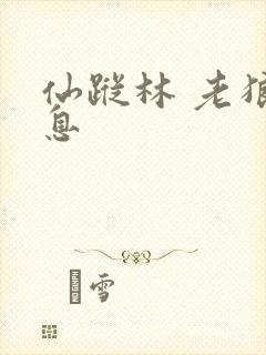 仙踪林 老狼信息