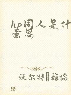 hp同人是什么意思