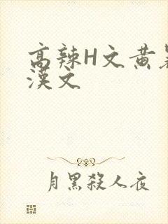高辣H文黄暴糙汉文