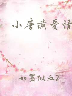 小唐璜爱情历史