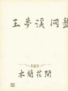 王梦溪 网盘