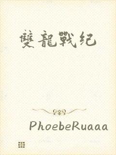 双龙战纪