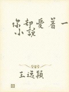 你却爱着一个他 小说