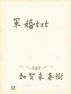 军婚txt