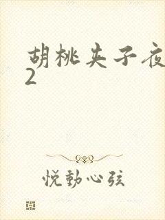 胡桃夹子夜未眠2