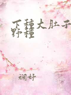 下种大肚子怀孕野种