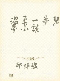 温柔一梦儿媳林梦小说