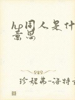 hp同人是什么意思