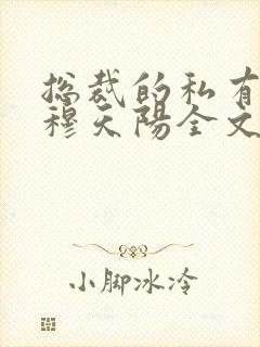 总裁的私有宝贝穆天阳全文阅读