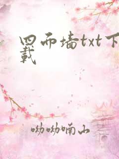 四面墙txt下载