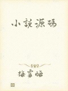 小说源码