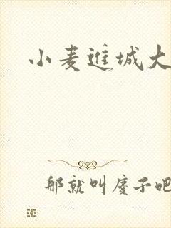 小麦进城大结局