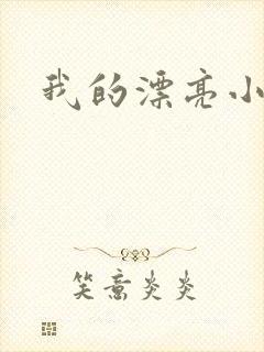 我的漂亮小后妈