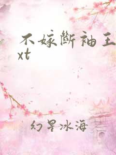 不嫁断袖王爷txt
