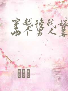 穿越后我嫁给了两个男人暮色酒歌