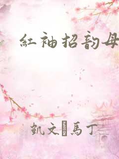 红袖招韵母攻略