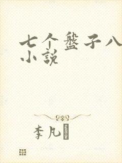 七个盘子八个碗小说