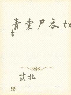 青囊尸衣 txt