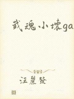 武魂小坏ga