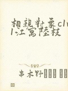 相亲对象c1v1江寓陆枝