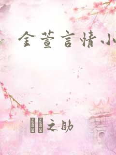 金萱言情小说