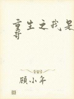 重生之我是大帅哥