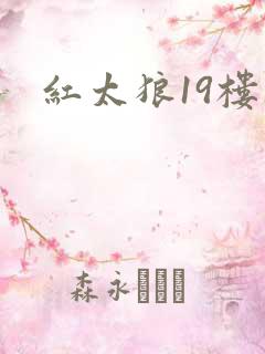 红太狼19楼