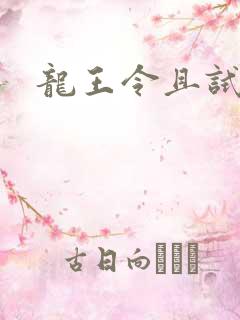 龙王令且试天下