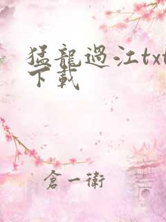 猛龙过江txt下载