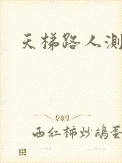 天梯路人测试器