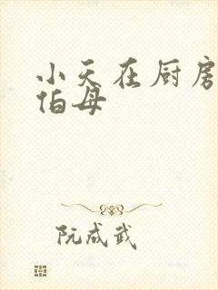 小天在厨房插杨伯母