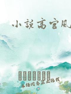 小说高官风流