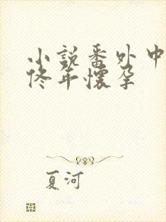 小说番外中结局佟年怀孕