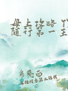 母上攻略 竹影随行第一主板