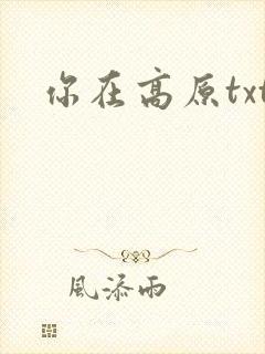 你在高原txt