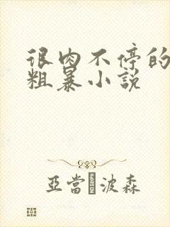 很肉不停的做很粗暴小说