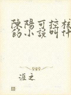 陈阳可控核聚变的小说叫什么名字