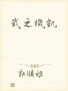 武之机凯