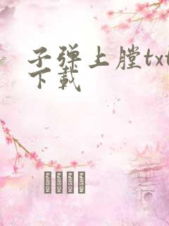 子弹上膛txt下载