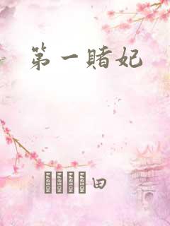 第一赌妃