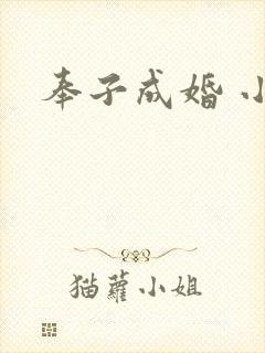 奉子成婚 小说