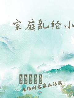 家庭乱纶小说